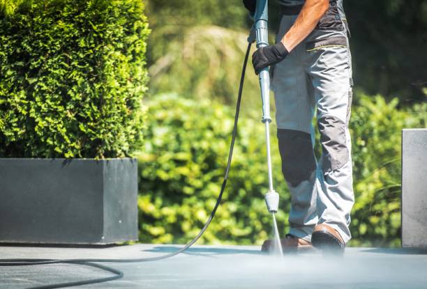 Best Animal Enclosure Cleaning  in La Cienega, NM