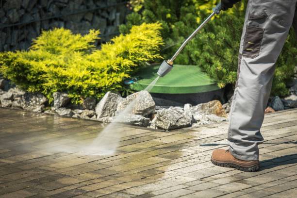 Best Playground Equipment Cleaning  in La Cienega, NM